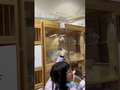 هواء أكثر نظافة، حيوانات أليفة أكثر سعادة