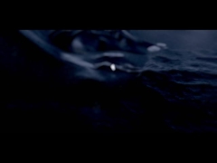 D6S ((مع خزان)